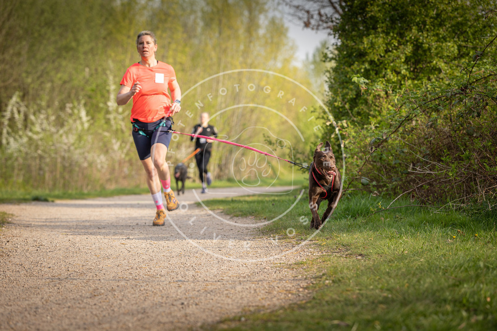 Pfotenfotografie_DV3A4587 | Hundefotografie, Tierfotograf, Pfotenfotografie, Fotoshooting Hund, Hunde Portrait, Hundesport, Hundeportraits, Heideshooting, Hunde, Sportfotograf, Hundefotograf, Turnierhundsport, THS,  - Realisiert mit Pictrs.com