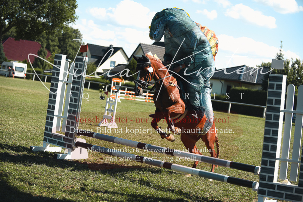 DSC_7643 | Pferde- und Turnierfotografie in Westsachsen. Pferdeportraits, Auftragszeichnungen und intuitive Kunst.