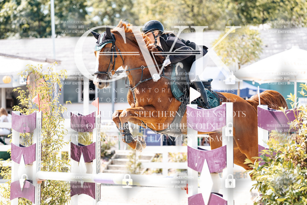 CK909385 | Turnierfotografie Pferdefotografie Trier Rheinland-Pfalz Pferdesport Reitsport Tierfotografie Sportfotografie Pferdevideo Pferdevideografie Equestrianvideography equestrianphotography  - Realisiert mit Pictrs.com