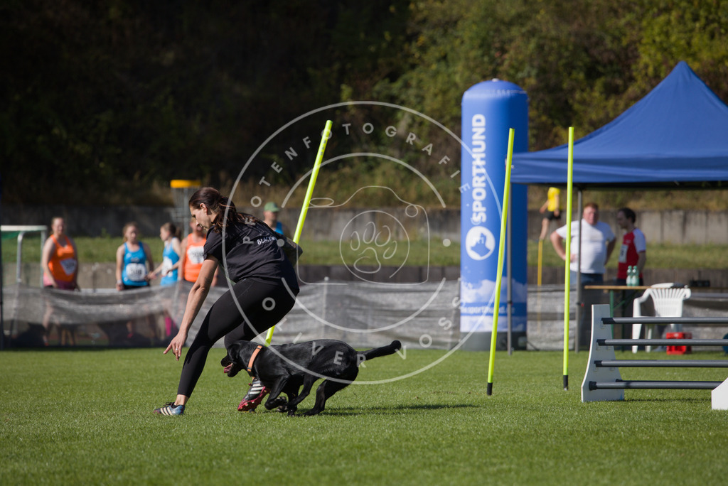 0L8A7924 | Hundefotografie, Tierfotograf, Pfotenfotografie, Fotoshooting Hund, Hunde Portrait, Hundesport, Hundeportraits, Heideshooting, Hunde, Sportfotograf, Hundefotograf, Turnierhundsport, THS,  - Realisiert mit Pictrs.com