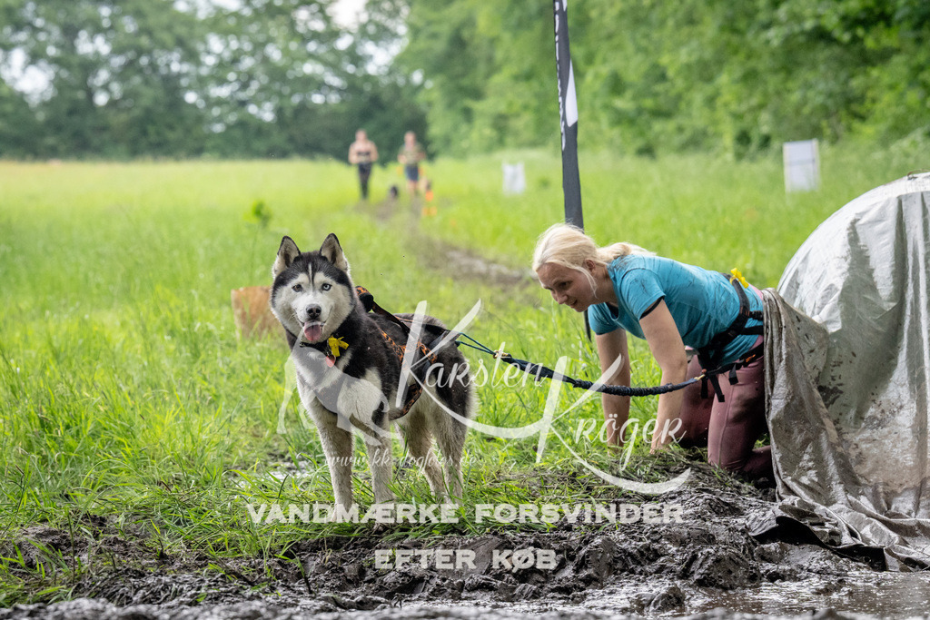 1503_ZZ91767 | kk-dogfotos