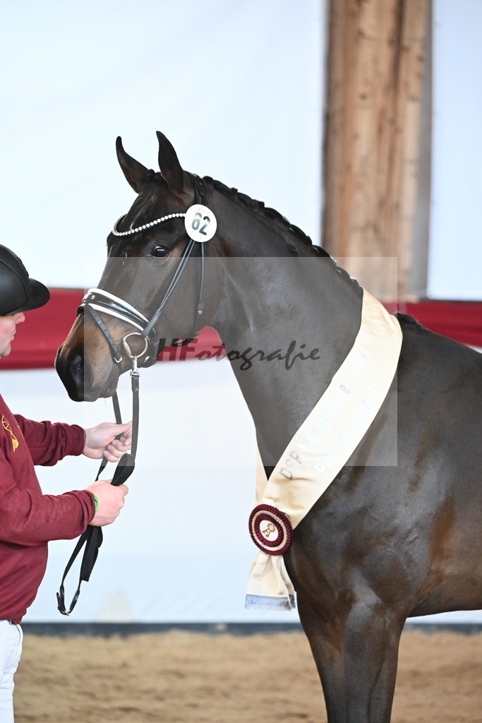Kat.-Nr. 82 v. Von Und Zu_Berger_2242973 | hf-fotografie - Realisiert mit Pictrs.com