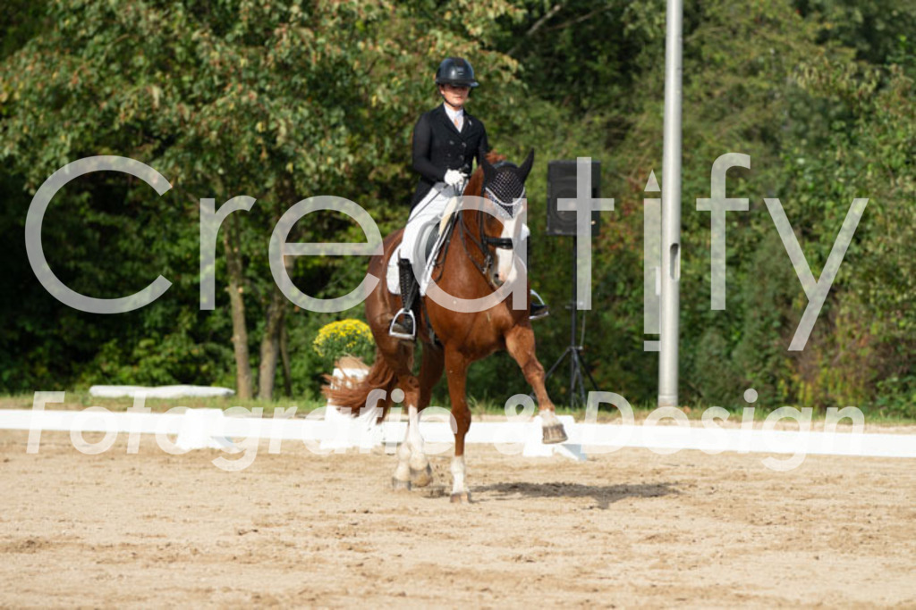 IMG_4226 | Creatify Fotografie