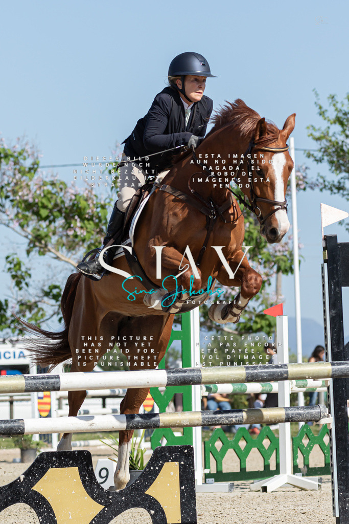 IMG_1007 | s-jay-photography - Realisiert mit Pictrs.com