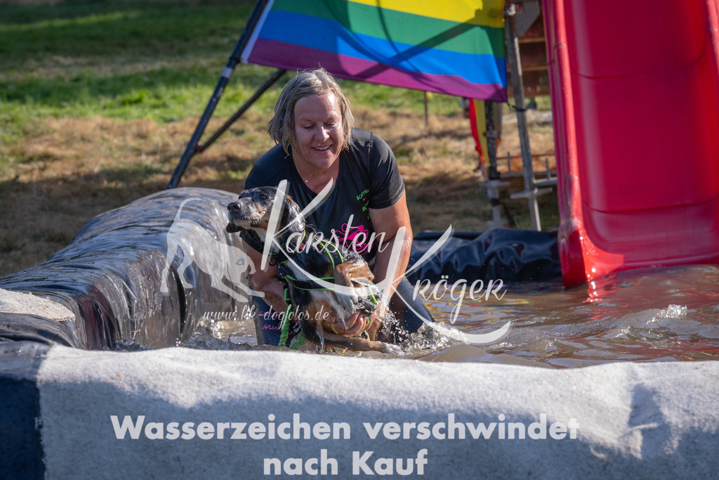 1709_ZZ93559 | kk-dogfotos