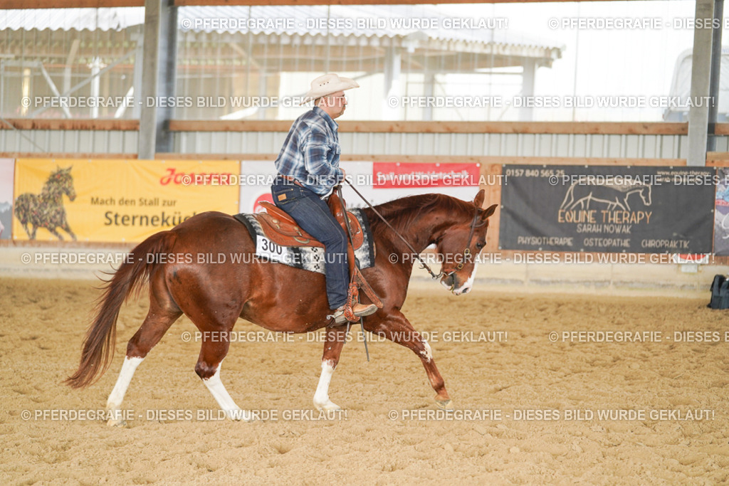 DSC01485 | Pferdegrafie