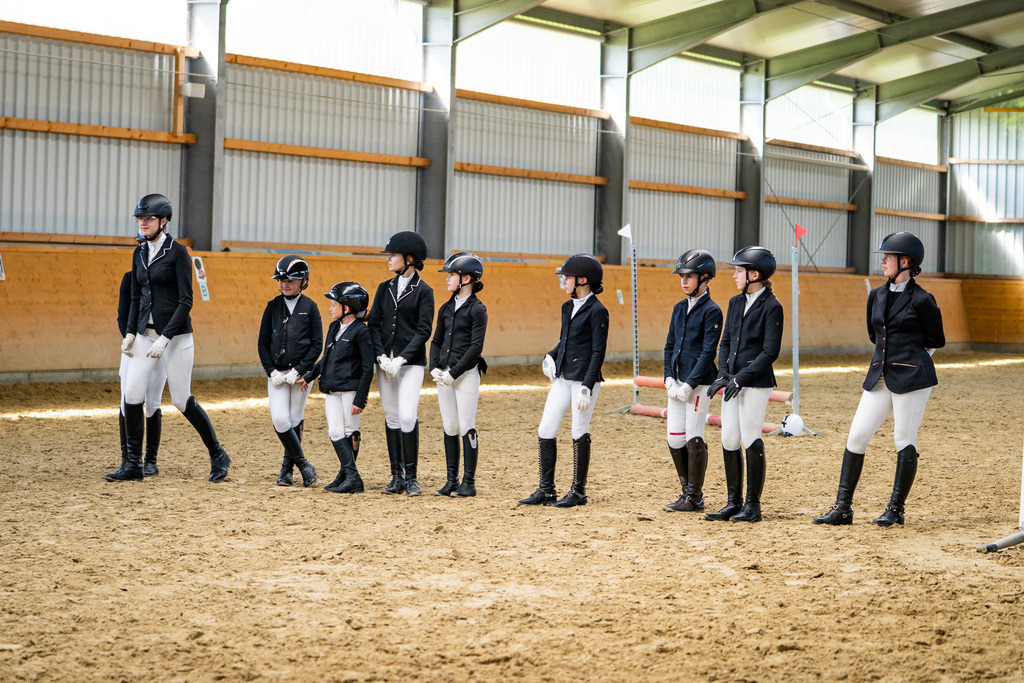 DSC02366 | Pferdegrafie