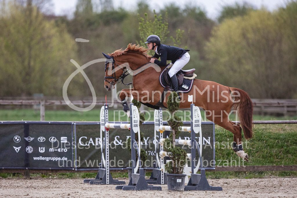 250417_Frühlingsfest_Youngster-M-239 | Deine schönsten Turniermomente als professionelle Fotos! Entdecke hochwertige Pferdesport-Fotografie im Online-Shop. Jetzt Fotos finden & bestellen!
