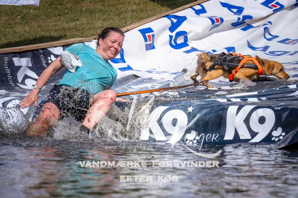 _ZZ927780929 | kk-dogfotos