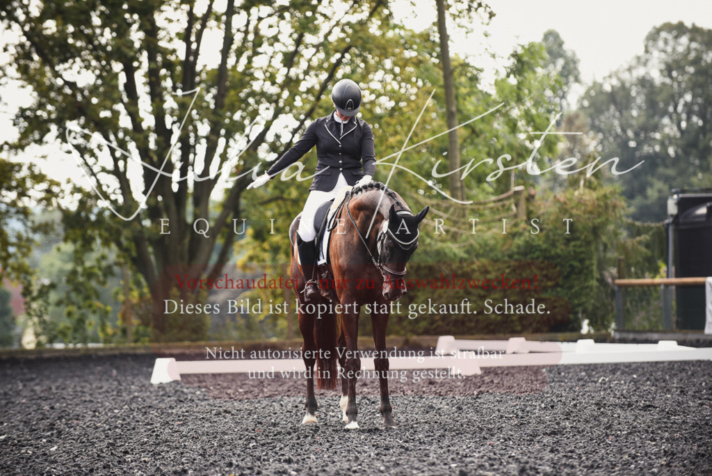 DSC_3738 | Pferde- und Turnierfotografie in Westsachsen. Pferdeportraits, Auftragszeichnungen und intuitive Kunst.