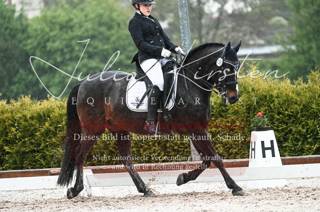 DSC_4659 | Pferde- und Turnierfotografie in Westsachsen. Pferdeportraits, Auftragszeichnungen und intuitive Kunst.