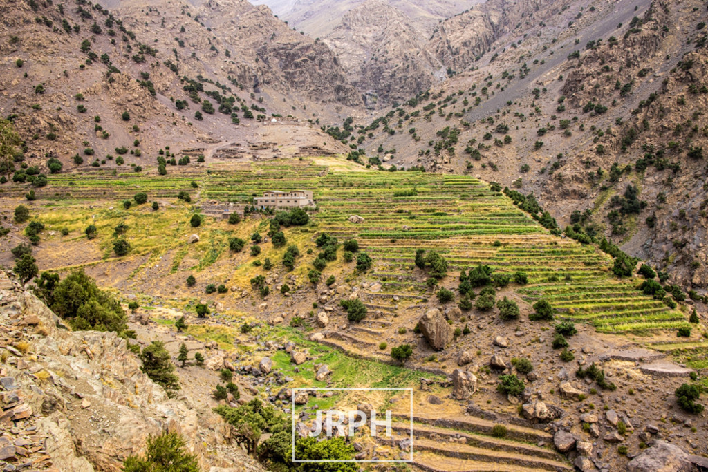 IMG_8258 | jrph - Realisiert mit Pictrs.com