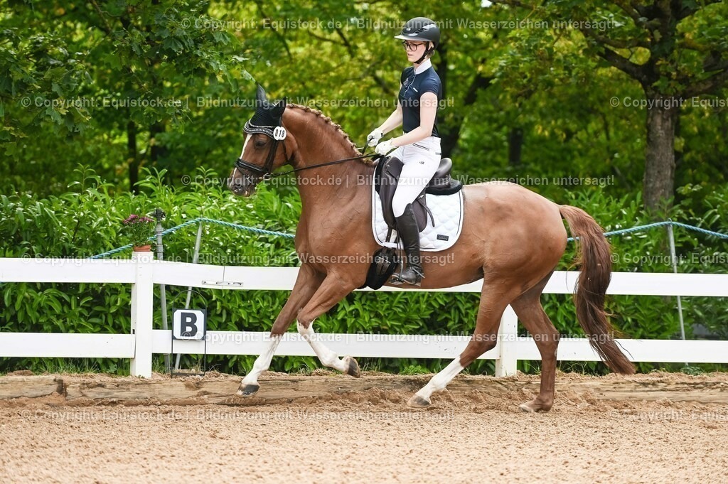 20230715_07_Dressurpferdeprfg. Kl.L_0090 | equistock