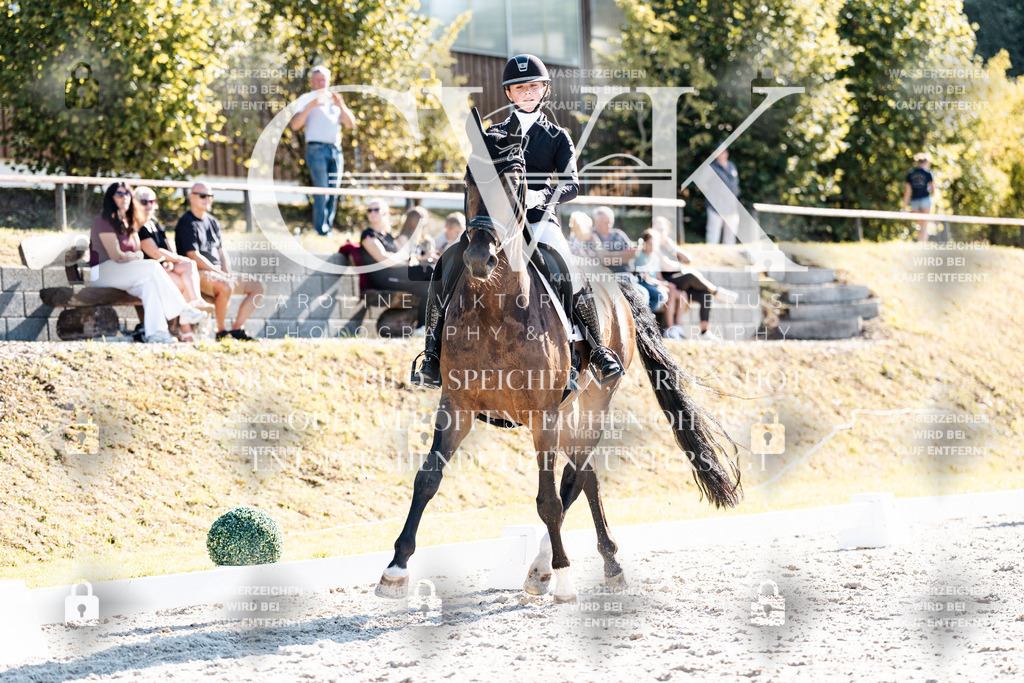 CK905921 | Turnierfotografie Pferdefotografie Trier Rheinland-Pfalz Pferdesport Reitsport Tierfotografie Sportfotografie Pferdevideo Pferdevideografie Equestrianvideography equestrianphotography  - Realisiert mit Pictrs.com