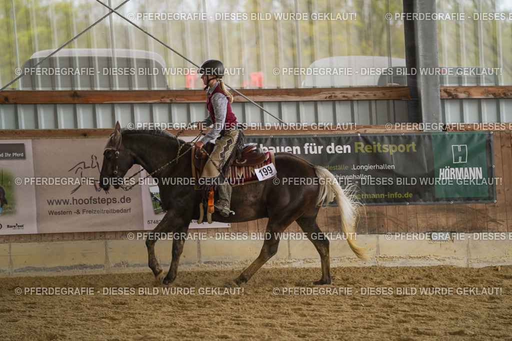 DSC08694 | Pferdegrafie