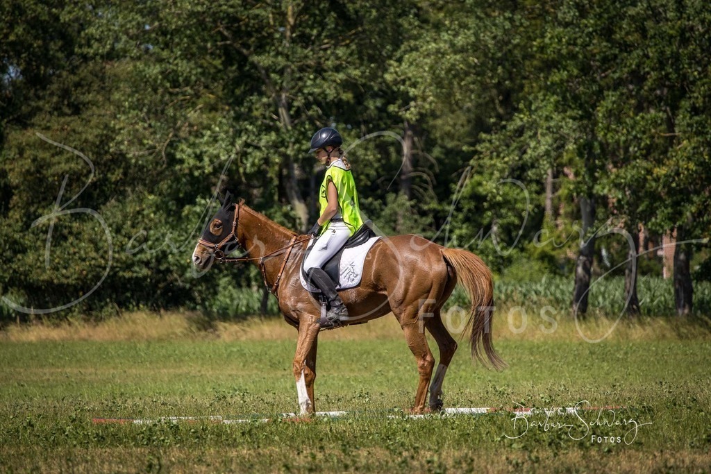CJP_2026-06-26_129 | Stimmungsvolle Fotografie von Pferden, fotografische Begleitung von Veranstaltungen, Golfturnieren und Distanzritten - Realisiert mit Pictrs.com
