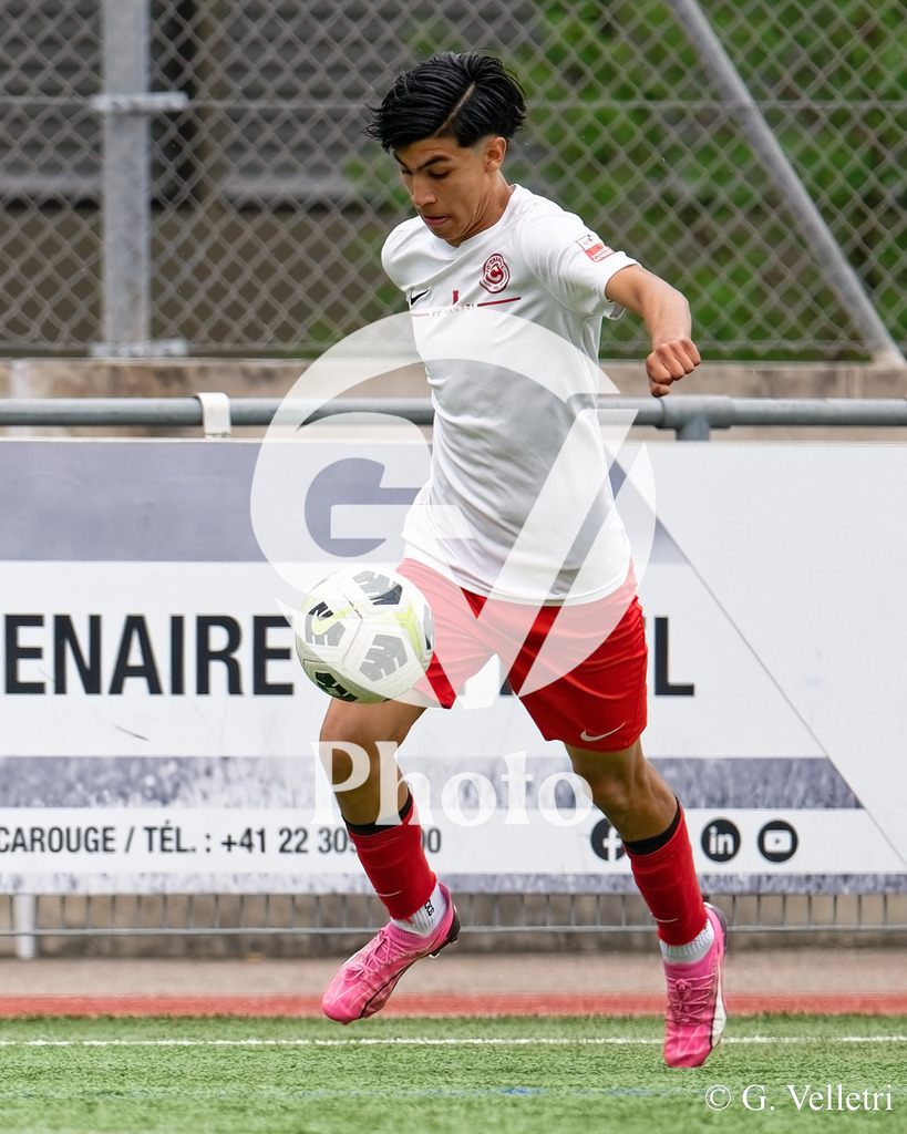 DSC_6600 | Velletri Photo