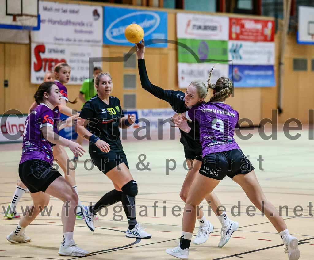 2023-12-17_071_SpVgg_Altenerding_II_gegen_HF_Scheyern | Erding, Deutschland, 17.12.2023:
Handball, Bezirksliga Frauen Altbayern 2023 / 2024, 9. Spieltag, SpVgg Altenerding II gegen HF Scheyern, Endergebnis: 22:26

Elena Sommer (SpVgg Altenerding, #4), Alena Seubert (HF Scheyern, #10), Elisabeth Bauschmid (SpVgg Altenerding, #9)

Foto: Christian Riedel / fotografie-riedel.net