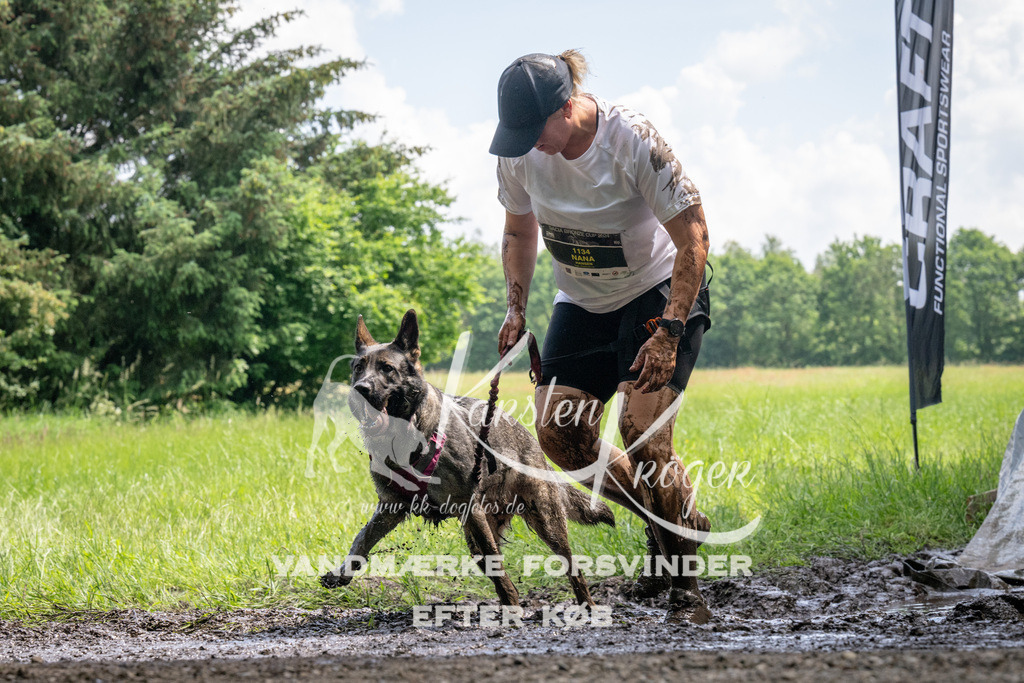 1148_ZZ94660 | kk-dogfotos