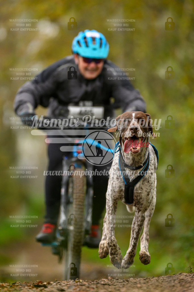 MompixPhotography_20TSB_E6_Bike-166 | PayLife