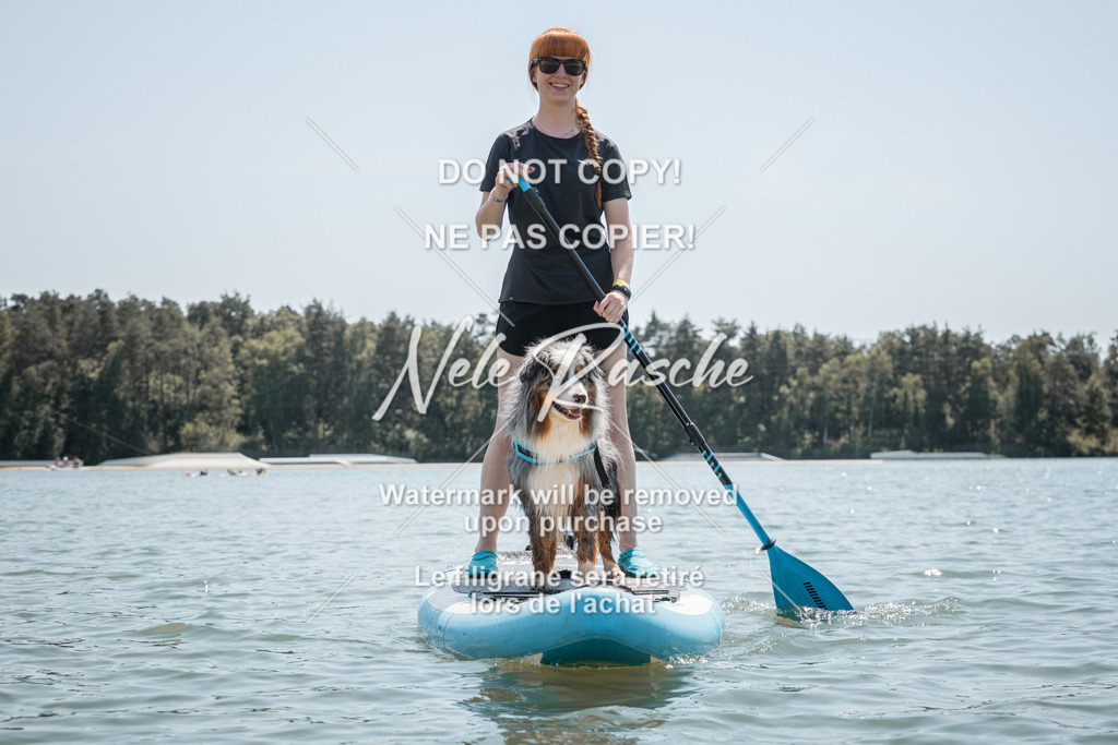 nelerasche_saSUP2_08 | nelerasche