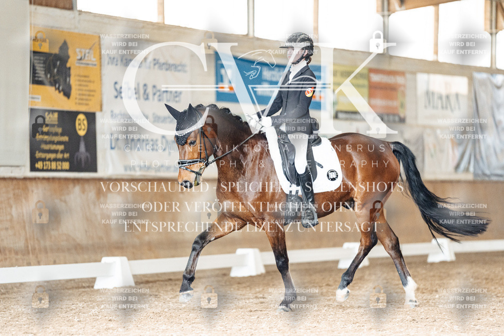 CK901984 | Turnierfotografie Pferdefotografie Trier Rheinland-Pfalz Pferdesport Reitsport Tierfotografie Sportfotografie Pferdevideo Pferdevideografie Equestrianvideography equestrianphotography  - Realisiert mit Pictrs.com