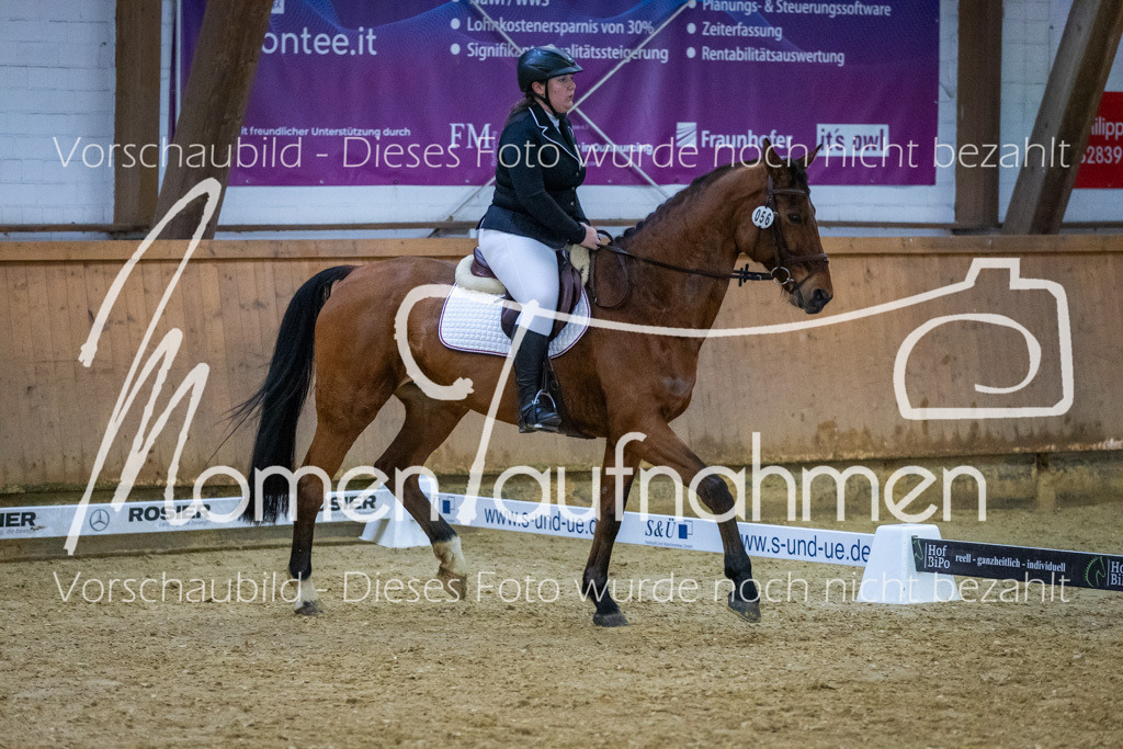 Sth-WBO25-DrR-081 | MomenTaufnahmen Pferdesportfotos