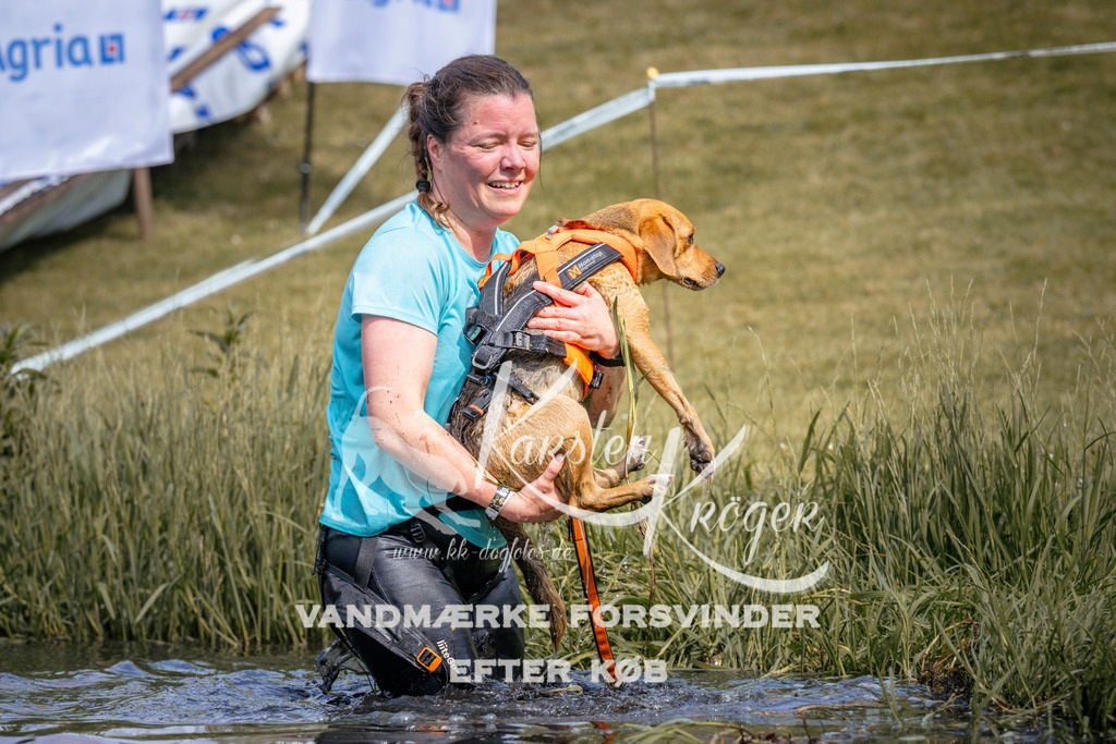 _ZZ905740902 | kk-dogfotos