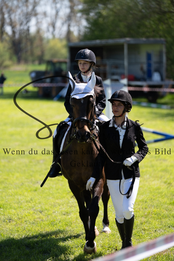 A7V01260 | Pferdefotograf