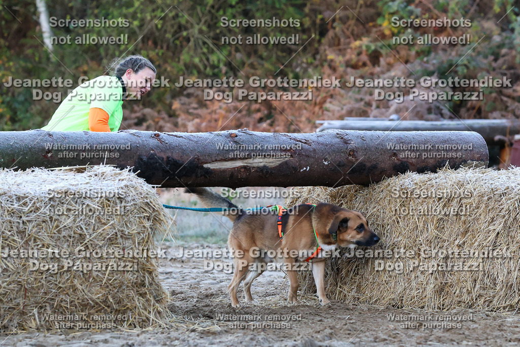 Dog Paparazzi - Strongdog 10-25-294 | Dog Paparazzi Jeanette Grottendiek Fotografie & Videografie - Realisiert mit Pictrs.com