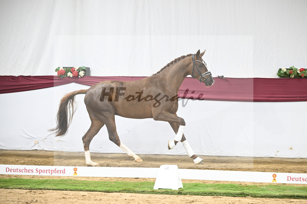 Kat-Nr. 138 Flashbang x Benetton Dream_Christian Gaeher_47251457 | hf-fotografie - Realisiert mit Pictrs.com