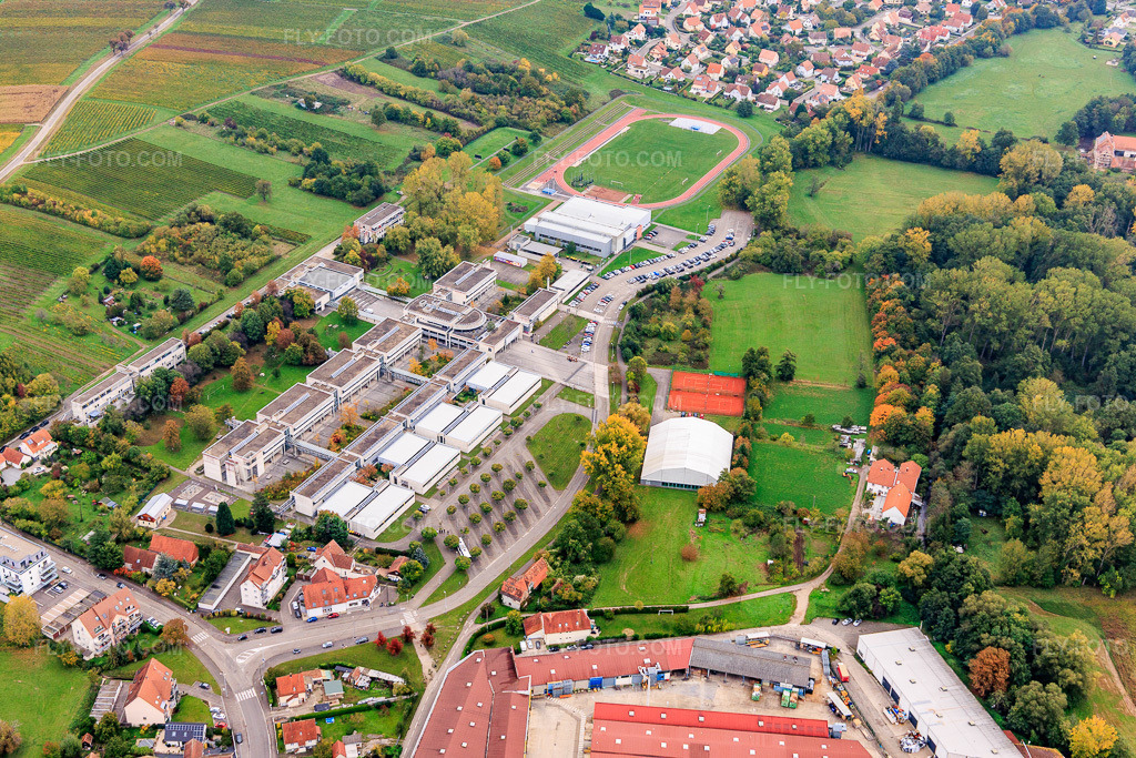 Aerial view: Lycée Stanislas Polyvalent (general, technological and professional) in the district Altenstadt in Wissembourg in the state Bas-Rhin, France.Photo: IMG_150031.jpg taken on 10/10/2025 by Werner Riehm/FLY-FOTO.comResolution of the original: 5930 x 3954 pxLycée Stanislas, 7 rue du lycée, 67160 Wissembourg