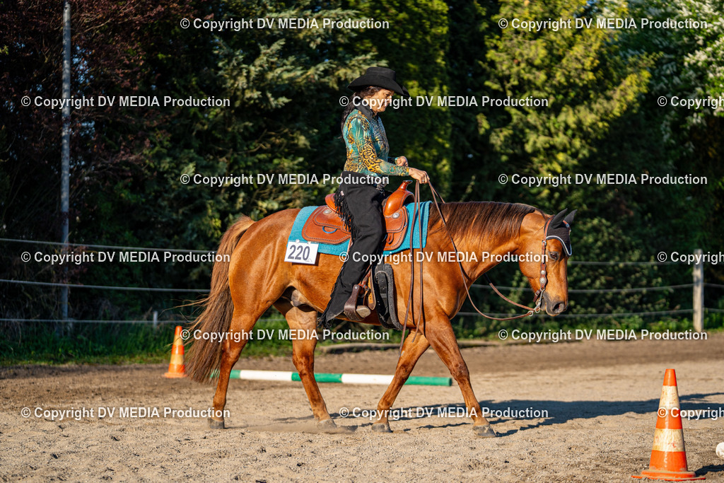 Balingen Tag 1-642 | dv-media-shop - Realisiert mit Pictrs.com