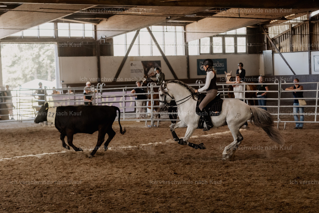 WM_COW_83_SinaFilmArt_IN04622 | working equitationturnier fotograf videograf stoibphotography marixx film working equitation deutschland reitsport turnierfotografie eventfotografie equestrian events