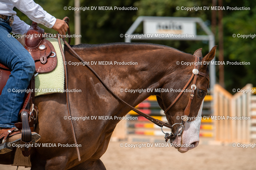 EWP_6183 | dv-media-shop - Realisiert mit Pictrs.com