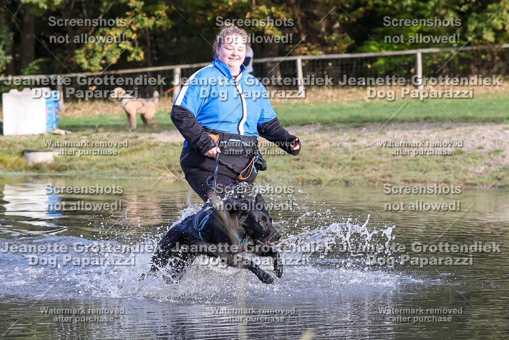 Dog Paparazzi - Strongdog 10-25-8428 | Dog Paparazzi Jeanette Grottendiek Fotografie & Videografie - Realisiert mit Pictrs.com