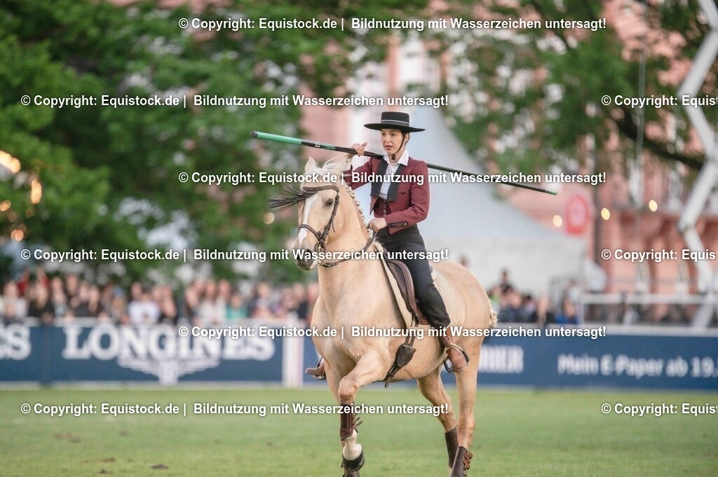 20230526_Pferdenacht_0750 | equistock