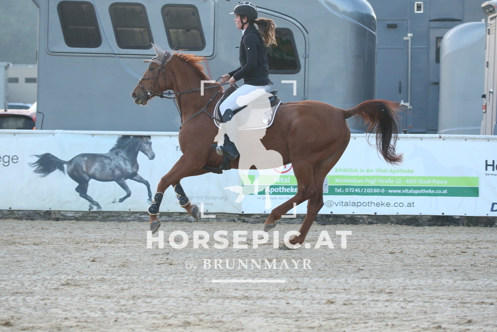 DL2Q0084 | Willkommen bei Brunnmayr - Design & Fotografie – Ihrem Spezialisten für Reitturniere und Pferdeveranstaltungen in Oberösterreich, Salzburg und Bayern! Seit über 17 Jahren sind wir leidenschaftlich dabei.