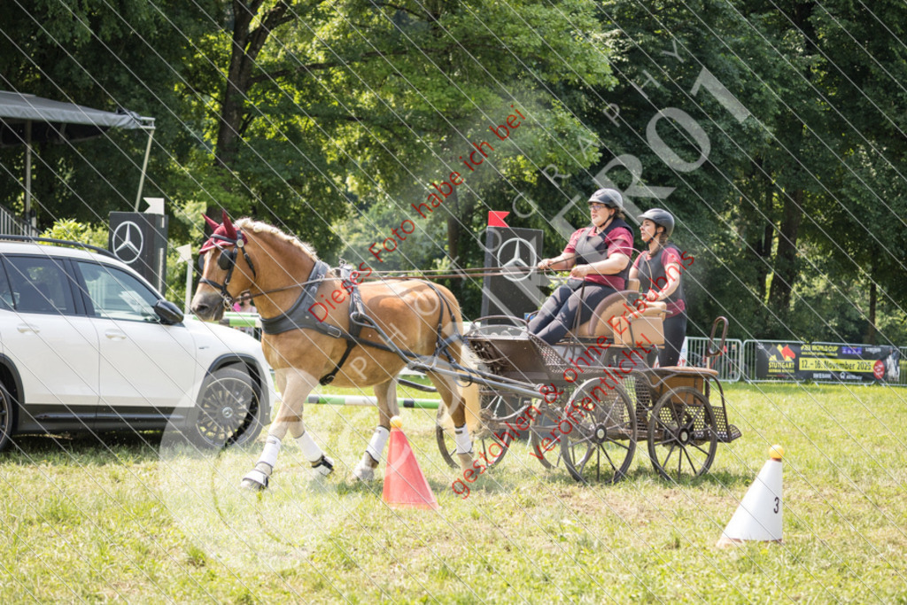 IMG_7978 | Sport-, Event- und Tierfotos in Profiqualität. Einfach auswählen, bestellen und herunterladen. Dein Moment – perfekt festgehalten.
