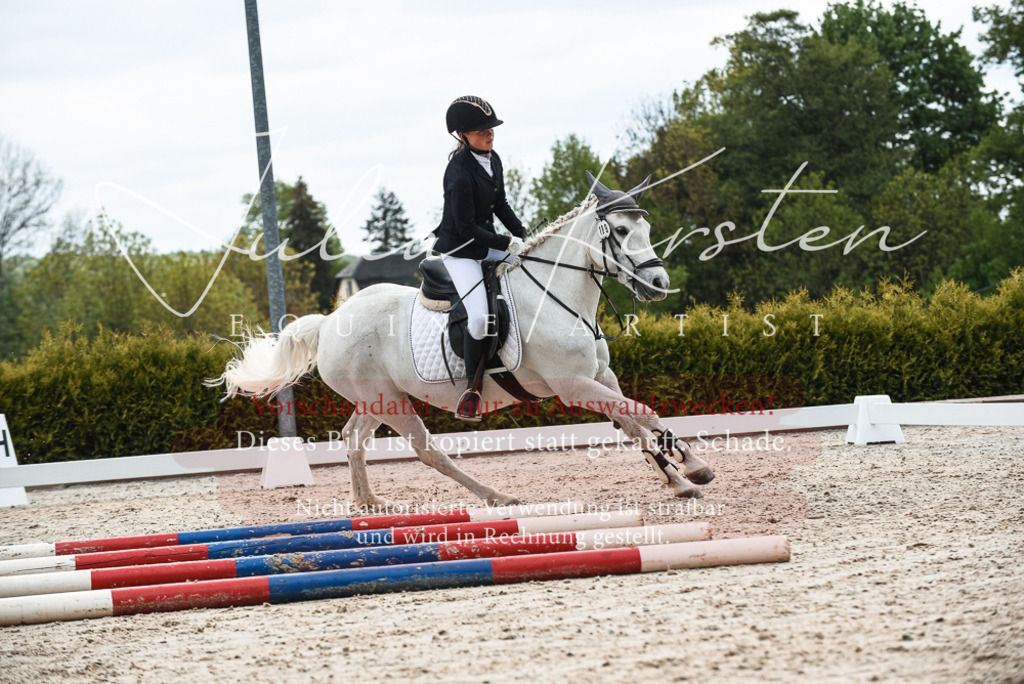 20230518_JK-Röhrsdorf-10-246 | Pferde- und Turnierfotografie in Westsachsen. Pferdeportraits, Auftragszeichnungen und intuitive Kunst.