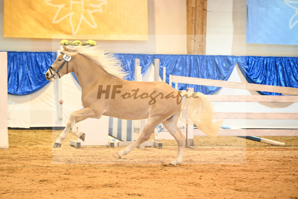 Kat-Nr. 27 nn v. Steingold_Stecher_60220423 | hf-fotografie - Realisiert mit Pictrs.com