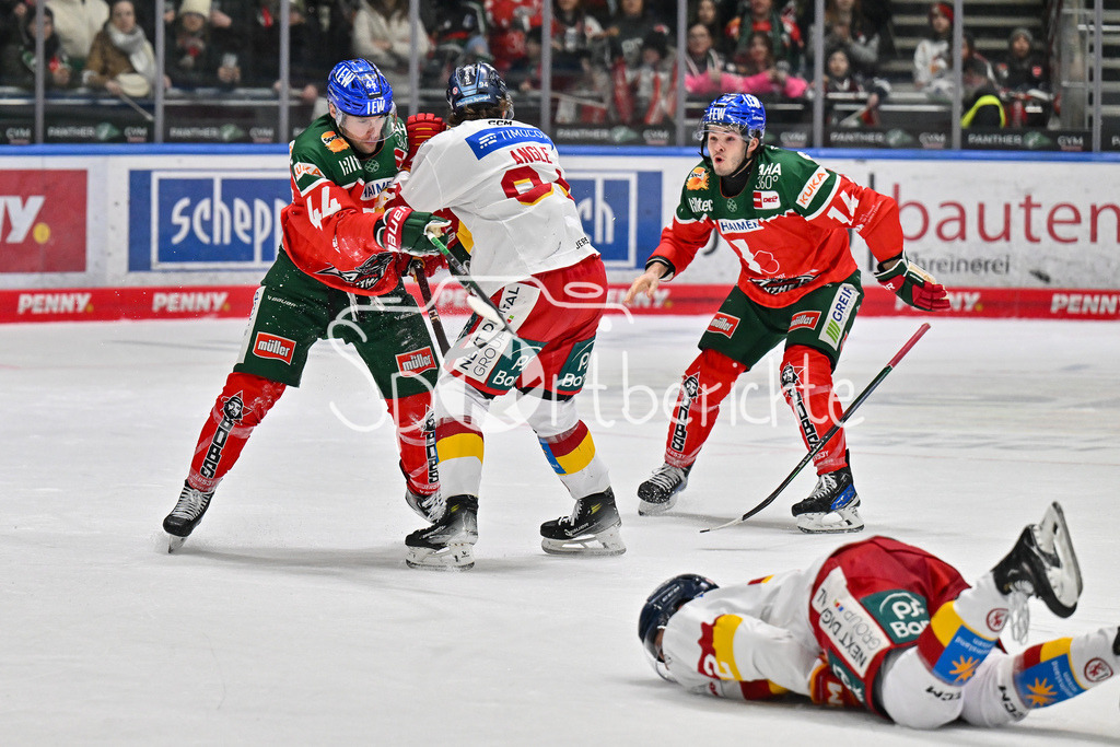 Augsburger Panther - Düsseldorfer EG | ein hietztes Spiel zwischen Augsburg und Duesseldorf / DEL: Augsburger Panther - Düsseldorfer EG, Curt Frenzel Stadion am 13.12.2024 / Fight / Faustkampf / Nolan ZAJAC (Augsburger Panther #44) / Tyler ANGLE (Duesseldorfer EG 94) / D. J. BUSDEKER (Augsburger Panther #14)