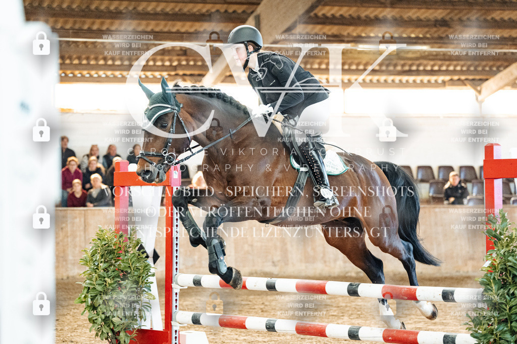 CK904311 | Turnierfotografie Pferdefotografie Trier Rheinland-Pfalz Pferdesport Reitsport Tierfotografie Sportfotografie Pferdevideo Pferdevideografie Equestrianvideography equestrianphotography  - Realized with Pictrs.com