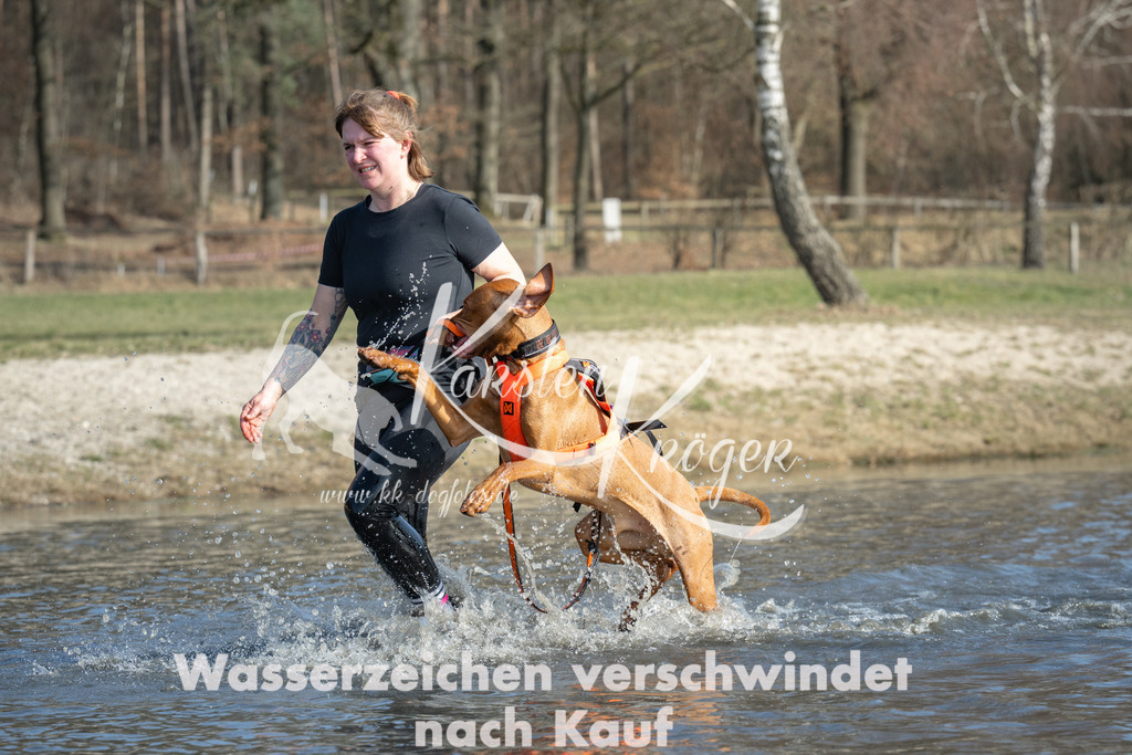 1400_ZZ99517 | kk-dogfotos