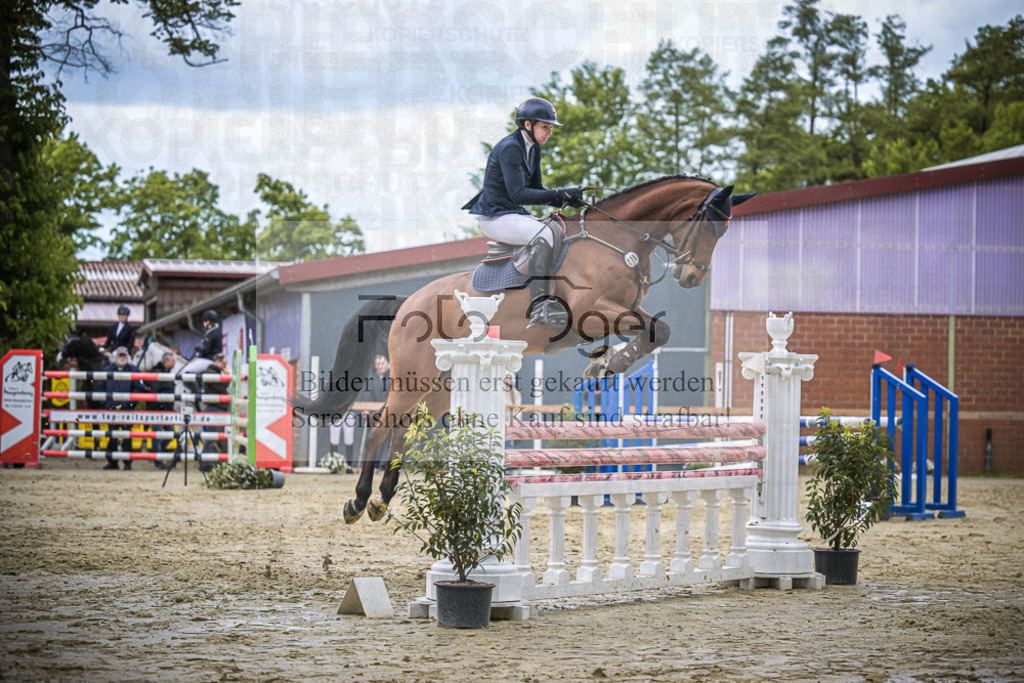 DOS_7903 | Entdecke hochwertige Reitturnierfotos von Foto Oger. Professionell, emotional und authentisch – jetzt Lieblingsmomente im Shop bestellen.Deutschlandweite Turnierfotografie. - Realisiert mit Pictrs.com