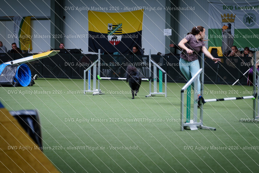 allesWIRTHgut_Tierfotografie-DVG_Agility_Masters_2026-12_29-7R502439 | Professionelle Tierfotografie in Mönchengladbach von Daniel Wirth (allesWIRTHgut). Liebevolle & natürliche Bilder von Hunden & Katzen für unvergessliche Erinnerungen.
