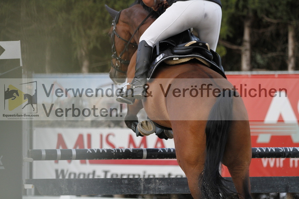 _MG_0452 | equestrian-live-com
