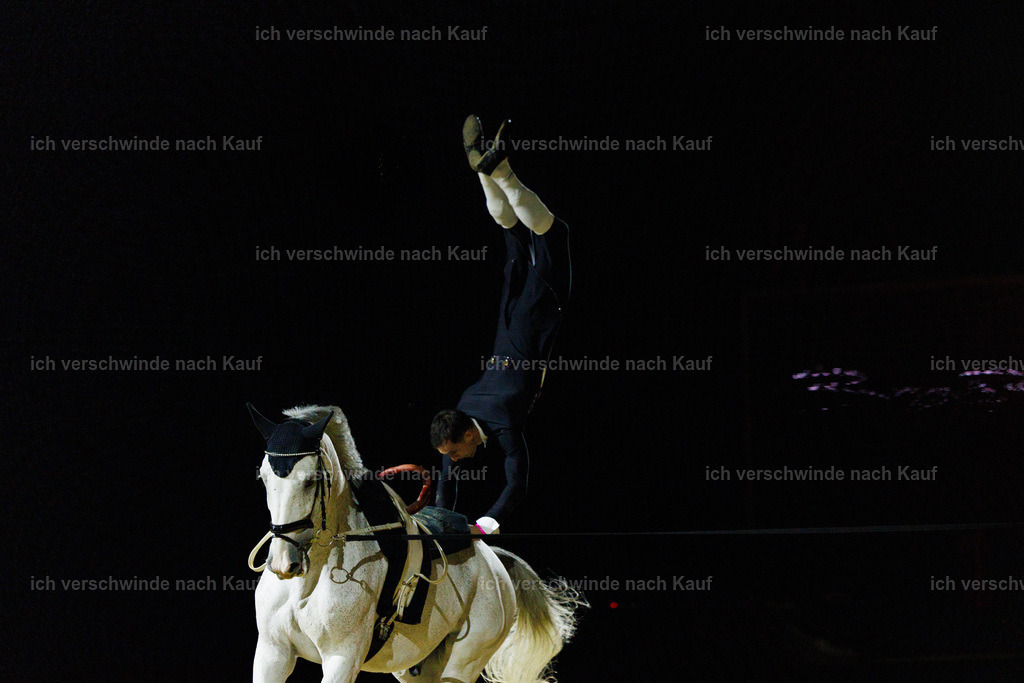 FHClassics-205 | working equitationturnier fotograf videograf stoibphotography marixx film working equitation deutschland reitsport turnierfotografie eventfotografie equestrian events