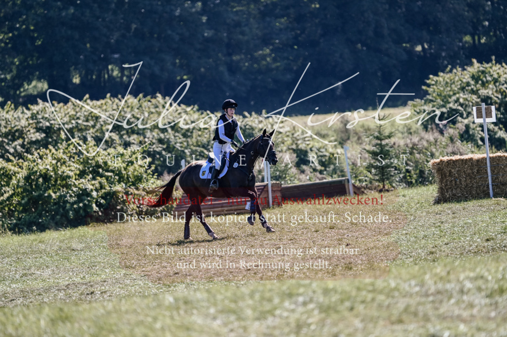 DSC_2724 | Pferde- und Turnierfotografie in Westsachsen. Pferdeportraits, Auftragszeichnungen und intuitive Kunst.