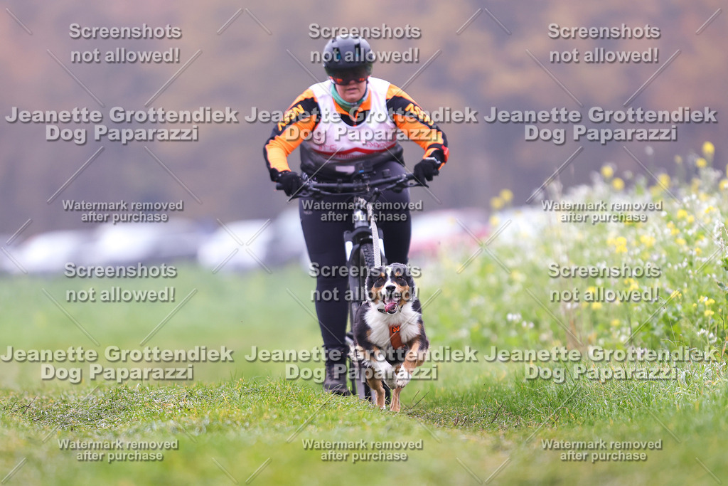 Dog Paparazzi - Visbeck 25 -217 | Dog Paparazzi Jeanette Grottendiek Fotografie & Videografie - Realisiert mit Pictrs.com